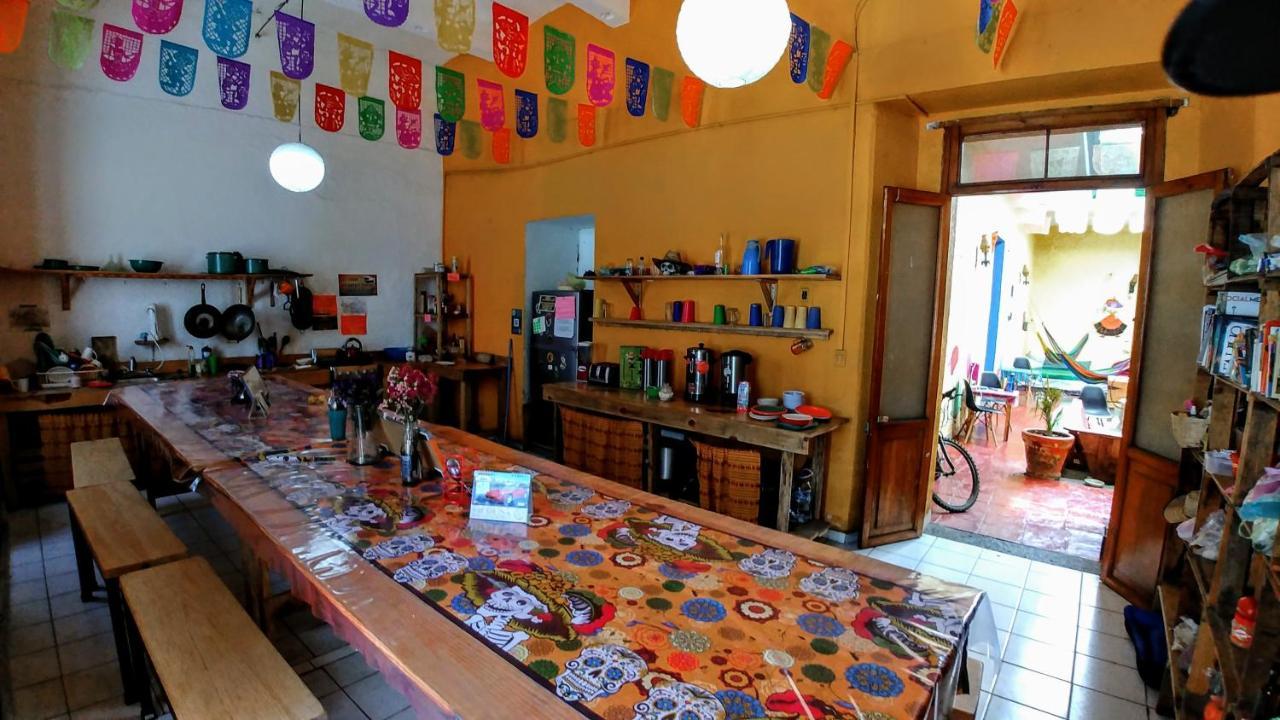 Iguana Hostel Oaxaca Luaran gambar